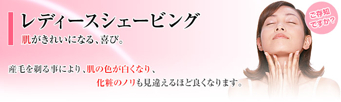 fB[XVF[rO Yт鎖ɂA̐FȂAς̂̂ႦقǗǂȂ܂B fB[XVF[rOł́AXy[XŁAZp҂Sv܂B